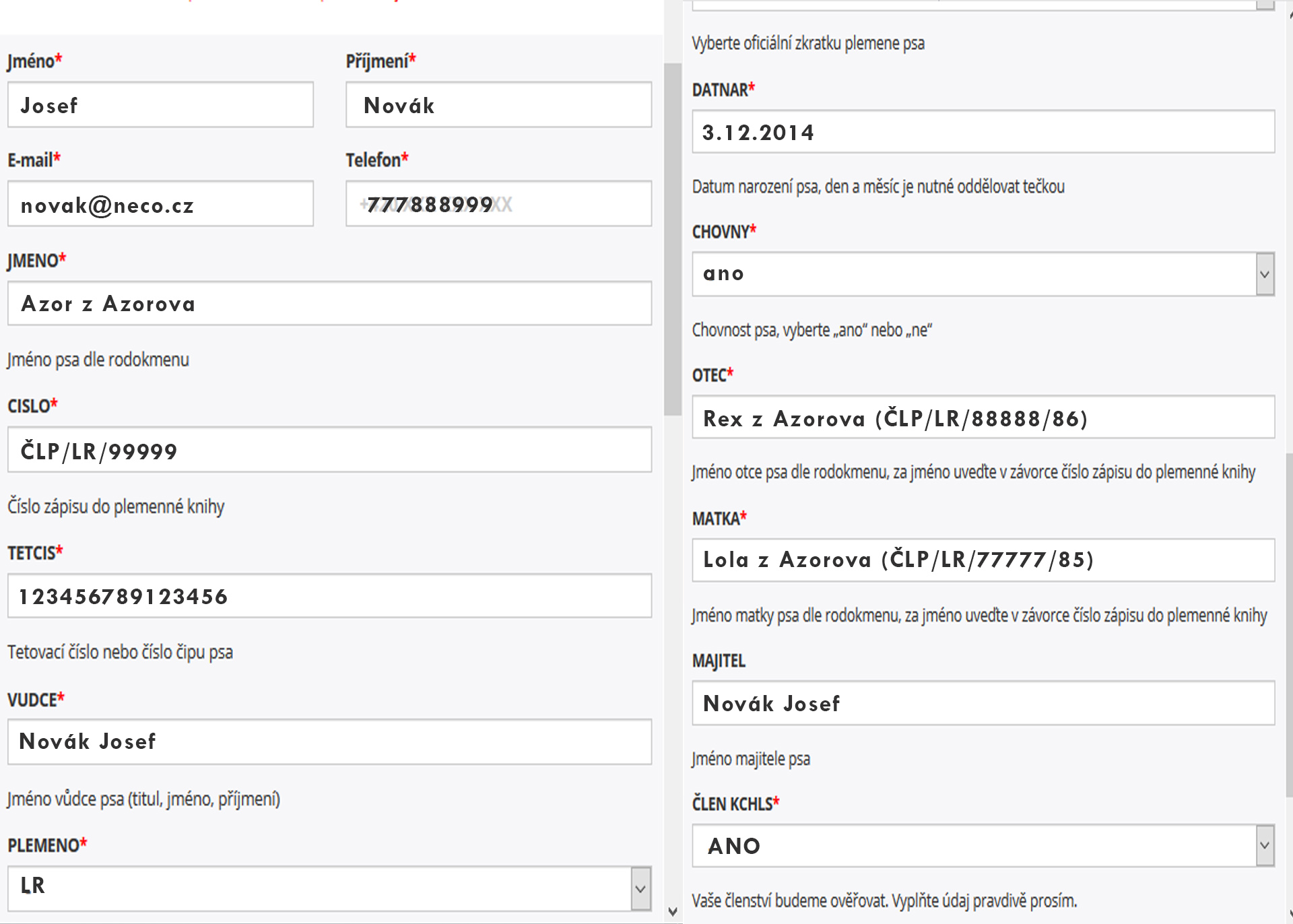 vzor_formulare